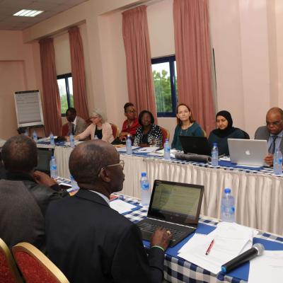 Afrehealth Meeting Lusaka Zambia Jan 2017 26 20180122 1225861415